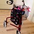Bibici